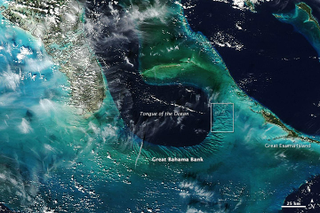 Illustration for article titled Gorgeous underwater sand dunes (or how Earth never ceases to amaze me)